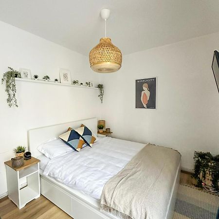Zen Studio Braşov Extérieur photo