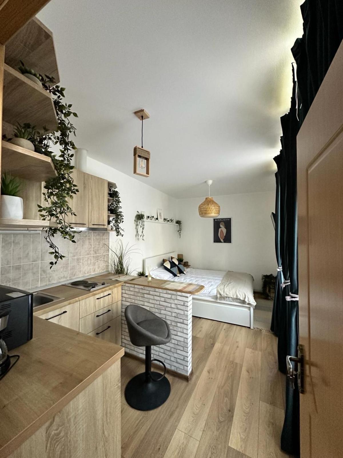 Zen Studio Braşov Extérieur photo