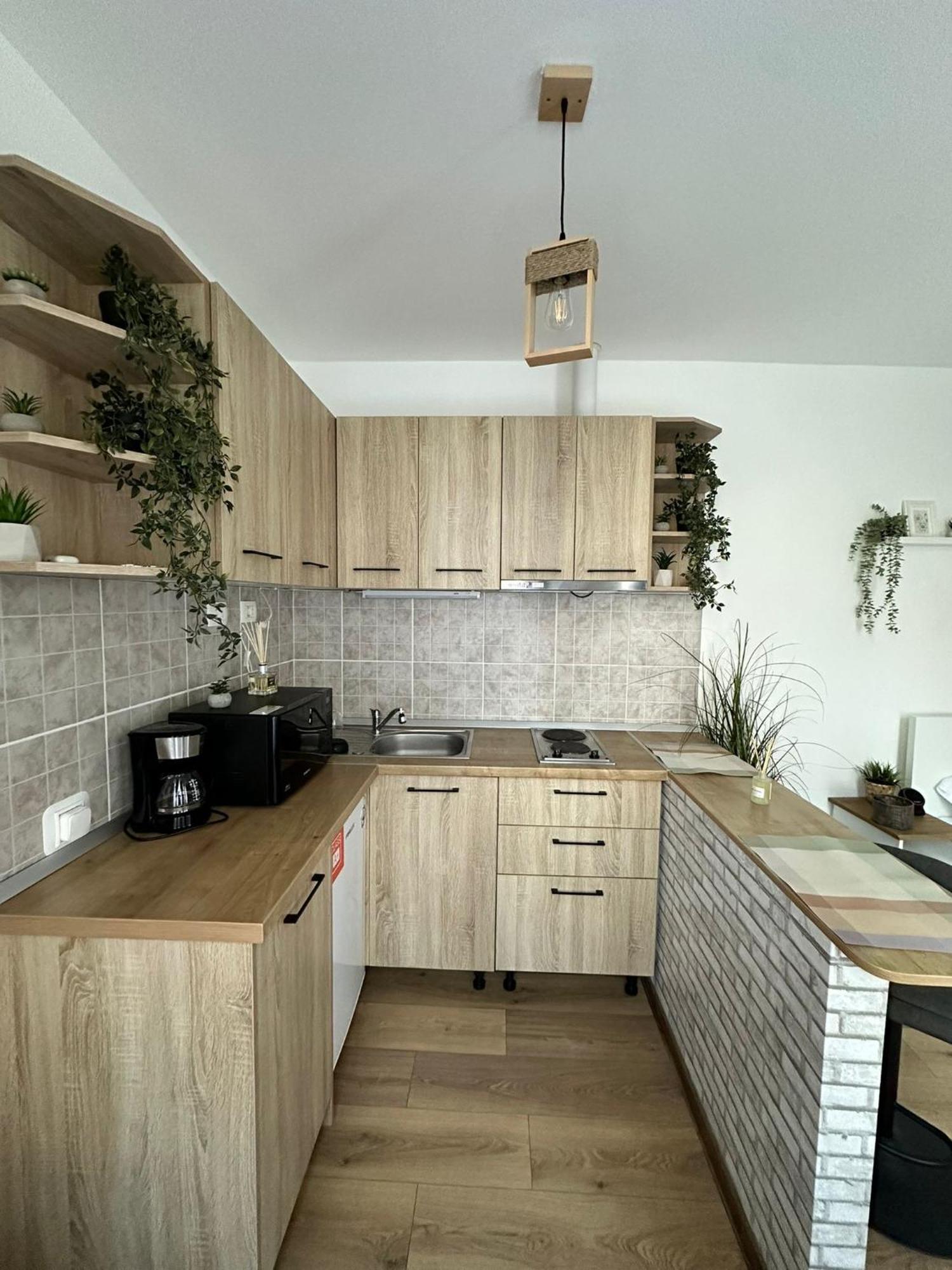 Zen Studio Braşov Extérieur photo